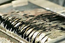 Solder Wave.jpg