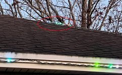 Roof2.jpg