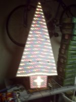 IMG-20110119-00017.jpg