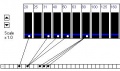 Thumbnail for version as of 08:02, 17 January 2009