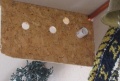 Thumbnail for version as of 05:10, 30 March 2020